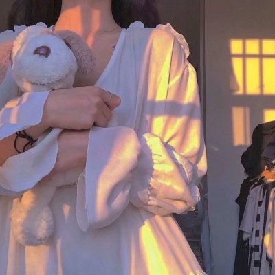 冰川时代2：融冰之灾2006